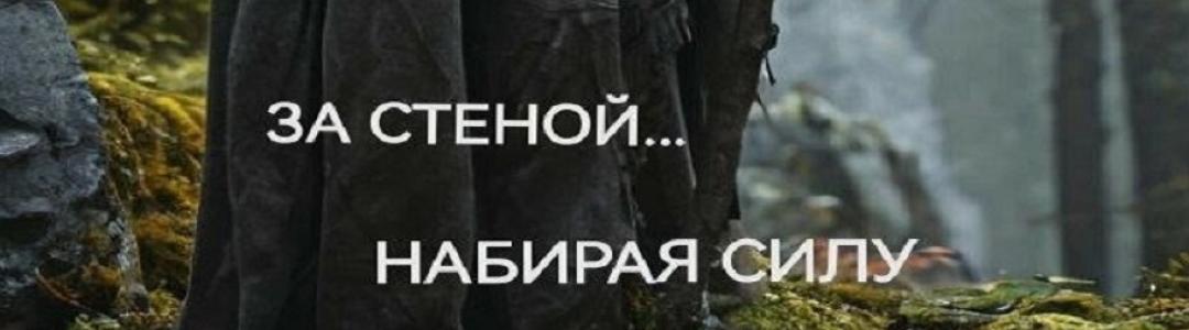 Отрывок из книги "За стеной... Набирая силу"