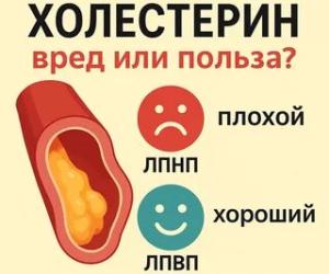 Холестерин, или история о том как наш корабль застрял в Бляшке.
