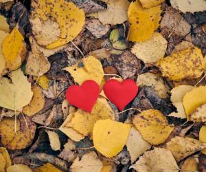 Голоснул на "Осеннем квесте"