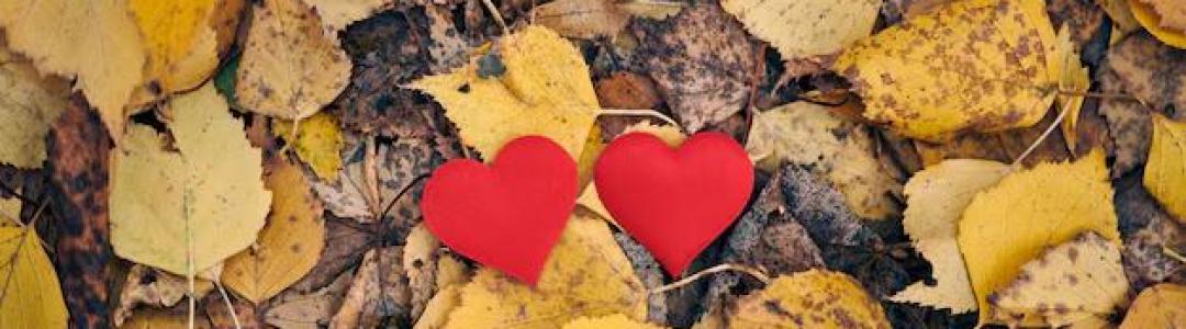 Голоснул на "Осеннем квесте"