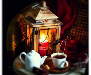 Во времени Ноября и его чудес…