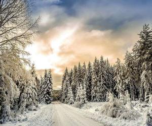 Как молодым авторам добиться популярности