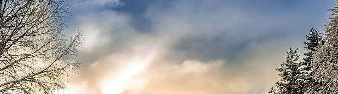 Как молодым авторам добиться популярности