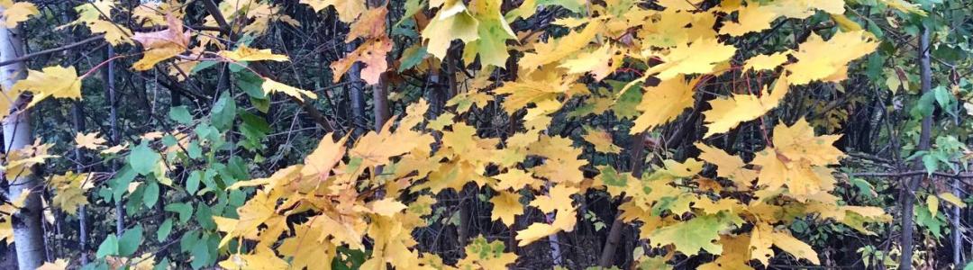 Во времени Октября…