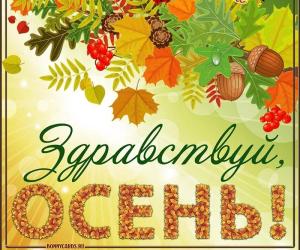В картинах осенней природы.