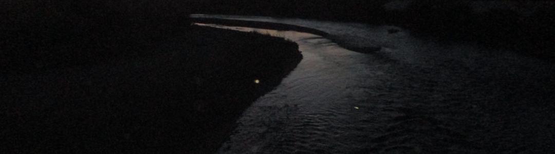 В воде прозрачной мчится детство.