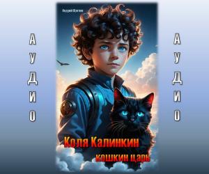 Коля Калинкин - кошкин царь: аудио версия
