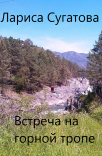 Обложка книги Встреча на горной тропе