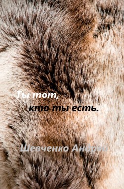 Обложка книги Ты тот, кто ты есть.