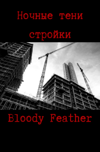 Обложка книги Ночные тени стройки
