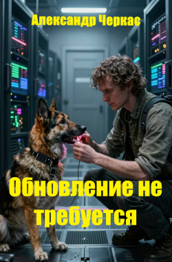 Обложка книги Обновление не требуется
