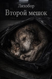Обложка книги Второй мешок