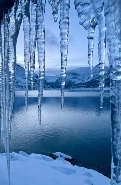 Обложка книги Лёд.( Стихи 2026 года ).