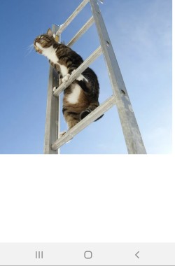 Обложка книги Рыцарский подвиг