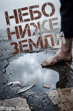 Обложка книги Небо ниже земли