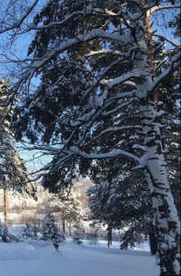 Обложка книги Санаторий