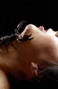 Обложка книги 20 новелл прогнозов для Скорпиона на 2026 год