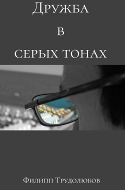 Обложка книги Дружба в серых тонах