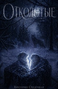 Обложка книги Отколотые