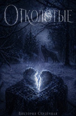 Обложка книги Отколотые