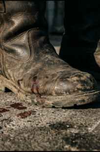 Обложка книги Время Ястребов