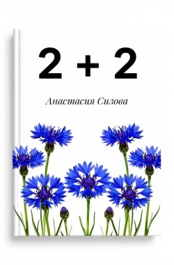 Обложка книги 2+2