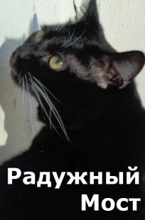 Обложка книги Радужный Мост