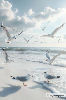 Обложка книги Белое Море