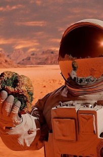 Обложка книги Исход