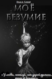 Обложка книги Моё безумие