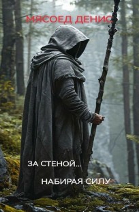 Обложка книги За стеной... Набираю силу