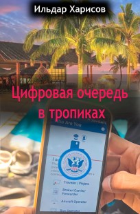Обложка книги Цифровая очередь в тропиках
