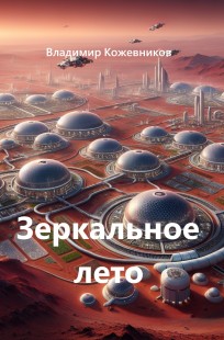 Обложка книги Зеркальное лето