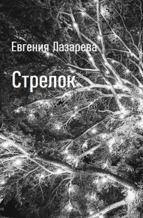 Обложка книги Стрелок