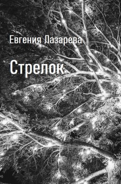 Обложка книги Стрелок