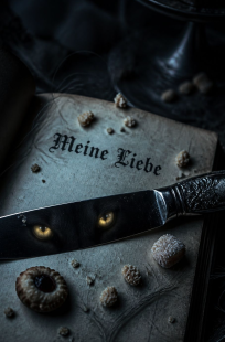 Обложка книги Meine Liebe
