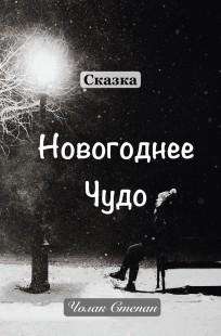 Обложка книги Новогоднее Чудо