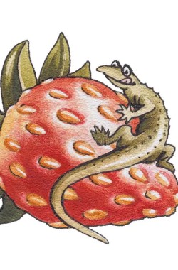 Обложка книги Призванный дракон
