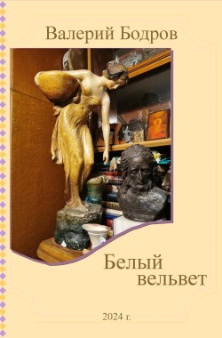 Обложка книги Белый вельвет