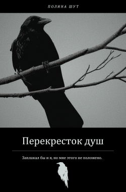 Обложка книги Перекресток душ