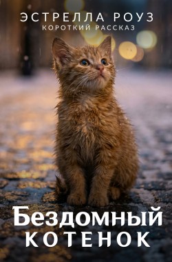 Обложка книги Бездомный котенок