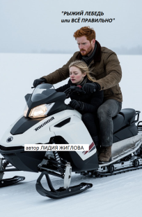 Обложка книги Рыжий лебедь или всё правильно