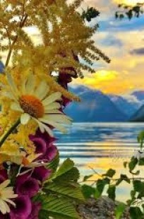 Обложка книги Отличие красоты Достоевского от духовной