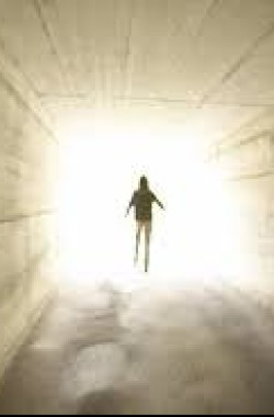 Обложка книги Тайна жизни и смерти.