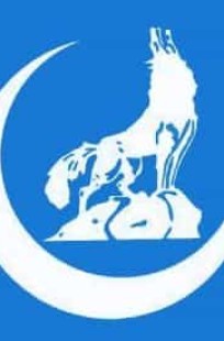 Обложка книги Тюркские империи - каганаты