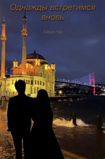 Обложка книги Однажды встретимся вновь