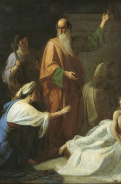 Обложка книги Избранные посланники Аллаха