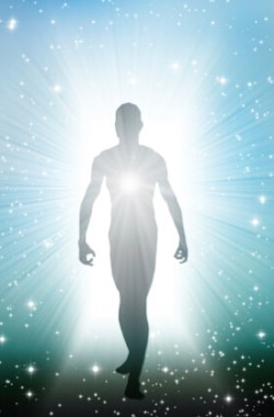 Обложка книги Разумные существа жившие на Земле до Homo Sapiens