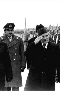 Обложка книги Афганский лабиринт