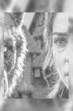 Обложка книги Цена доверия